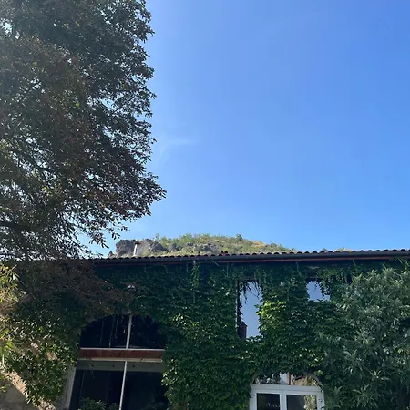 La Cour Carree Hotel Perrier Exterior photo
